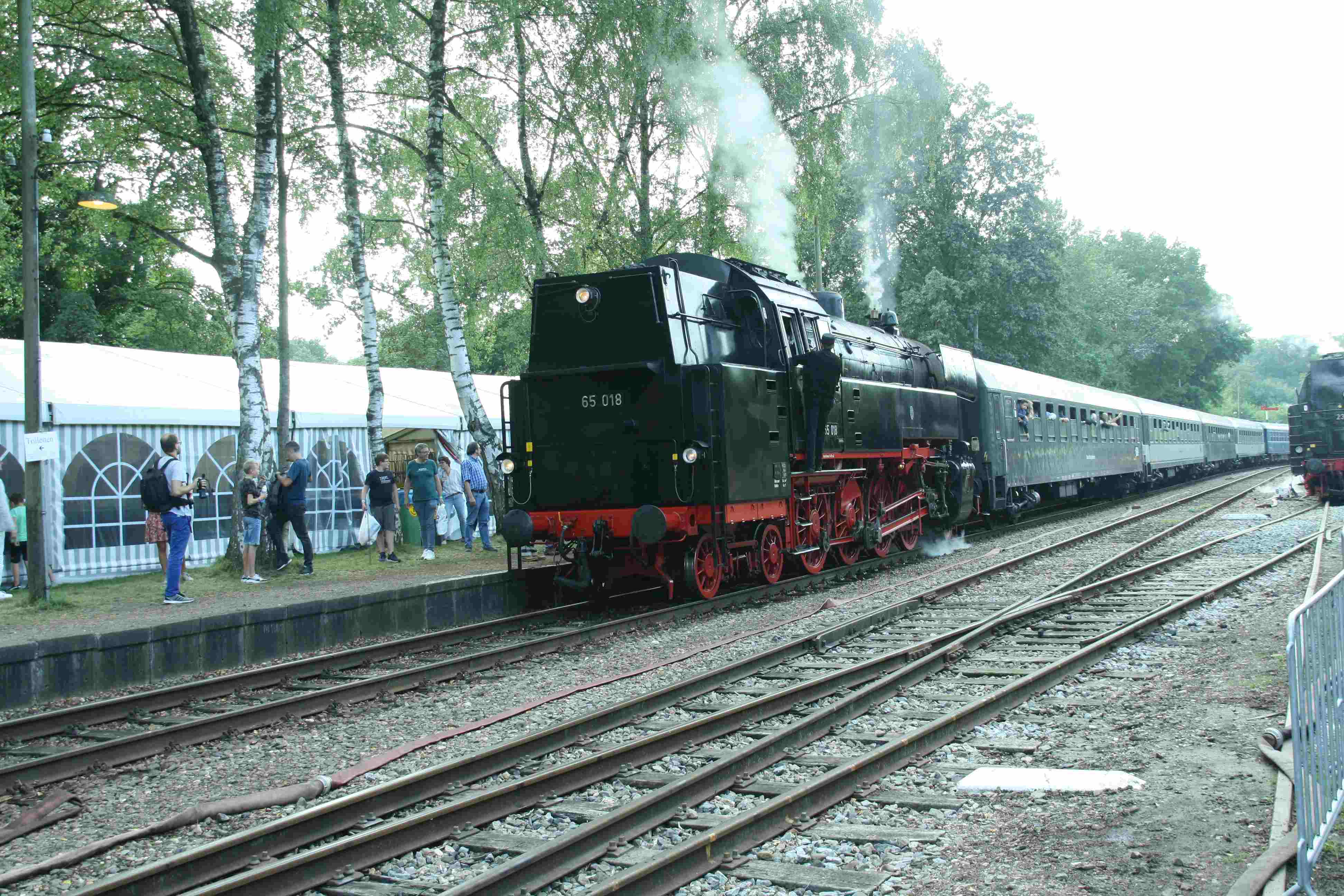 230902 254 Beekbergen Bf Dampflok VSM ex DB 65 018 mit Zug 59 von Loenen nach Dieren komp